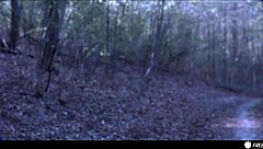 Valentina Nappi Gets Lost In Woods, Frozen In Time, Facefucked By Big Cock