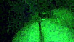 Hey, check out this fun party with naked dancing and striptease in the hood.