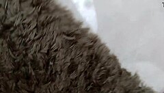 cuckold fulfills dream watching wife with bull