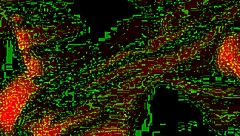 real homemade wedding fuck with bride and groom