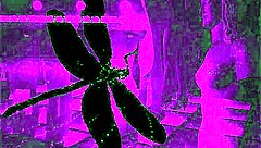 Dark Lantern Entertainment Presents The Dragonfly Scene 2 Pt 2