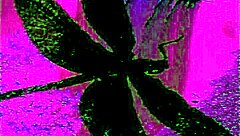 Dark Lantern Entertainment Presents The Dragonfly Scene 2 Pt 2