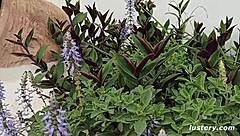 Lustery Submission 708 Feels Silky Wetter Best