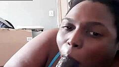 A casual chat about creed daking