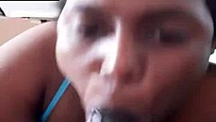 A casual chat about creed daking