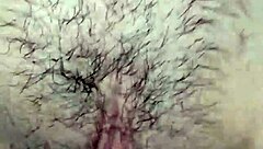 Home Sex with Latina Toys and Anal