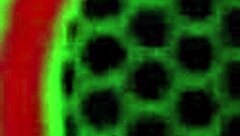 i pleasure jessica raynes cunt as sara jay fucks her hard