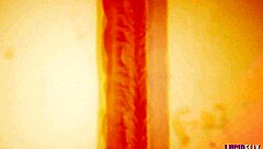 ルシッドフリックス エンタンドゥル with メリッサ・ストラットン in バックファック