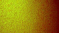 Discover the Contrast of a Mature Asian Prostitute in a Cheap Brothel