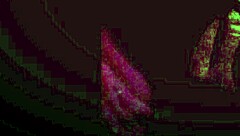 scandal with my friend