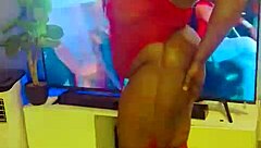 sundaydogood614 update 957 vid 20250409