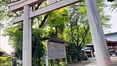 Exploring Tochigi's strawberries and relaxing in hot springs with Nacchi 😊