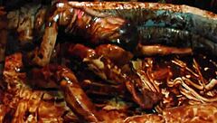 Chocolate Wrestling Olympics Movie