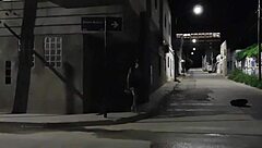 amigo invita ver coje puta en esquina