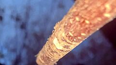 Slamming a real life witch doggystyle deep in the woods!