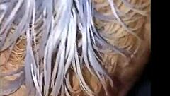 my milf mother-in-law squirts when i fuck her with my huge cock 😈