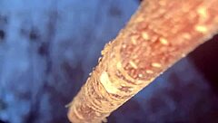 Slamming a real life witch doggystyle deep in the woods!