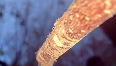 Slamming a real life witch doggystyle deep in the woods!