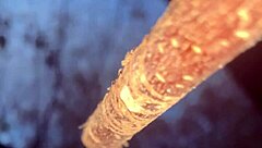 Slamming a real life witch doggystyle deep in the woods!