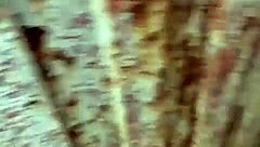 Neighbor waits with hard cock at door