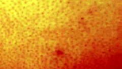 i love dozier313 ass fucking ebony bbw with creampie