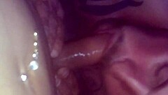 shemale with big cock gets sucked