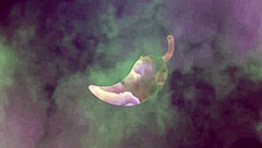 Hydrating The Fucking Machine With Cum And Pussy Juices