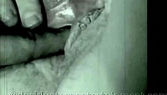 dark lantern presents stiff as a poker.