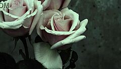 Mcr - I Dont Love You Sub Espa�ol