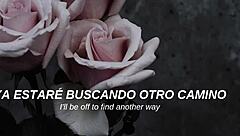 Mcr - I Dont Love You Sub Espa�ol