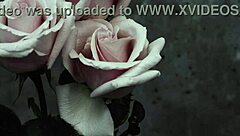 Mcr - I Dont Love You Sub Espa�ol