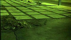 teen anal orgy at home