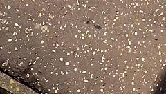 Neighbor Grandma Sexy Feet 5 - Why Not Lick and Suck Those Toes for Fetish Fun?