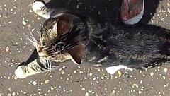 Neighbor Grandma Sexy Feet 5 - Why Not Lick and Suck Those Toes for Fetish Fun?