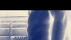 बिग इंडियन कॉक एक्शन के लिए तैयार?