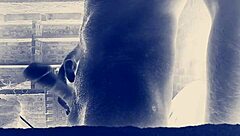 बिग इंडियन कॉक एक्शन के लिए तैयार?