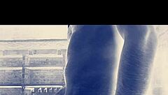 बिग इंडियन कॉक एक्शन के लिए तैयार?