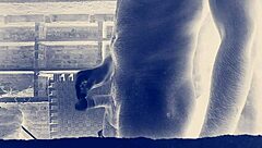 Big Indian Cock Ready For Action?