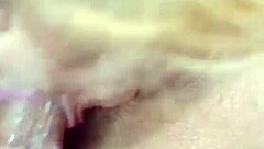 Nigarchrist Update 1376 Petal