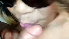 Nigarchrist Update 1376 Petal