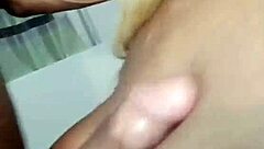 Nigarchrist Update 1376 Petal