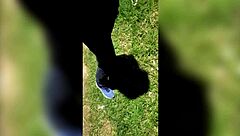 Did I Fuck My Ex After Her Wild Party?