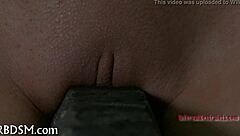 inflicting pain pleasures on her cunt and pussy?