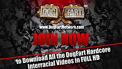 anne amari returns to the gloryhole for more blowjobs and sex