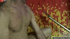 Tranny Babe Nicole Marques Sucks Cock And Gets Fucked