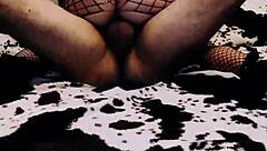 home couples compilation