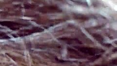 what makes family relationship part 53 so special? let's explore the bonds and moments that define it