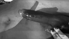 my wife takes big black cock creampie from prostitute while i watch interracial action