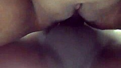 아마추어가 간단한 설정에서 기본 활동 탐험 시작