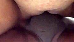 아마추어가 간단한 설정에서 기본 활동 탐험 시작